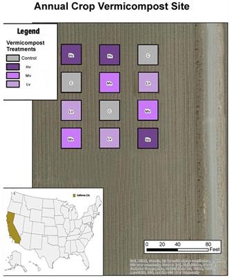 Vermifiltration and sustainable agriculture: unveiling the soil health-boosting potential of liquid waste vermicompost